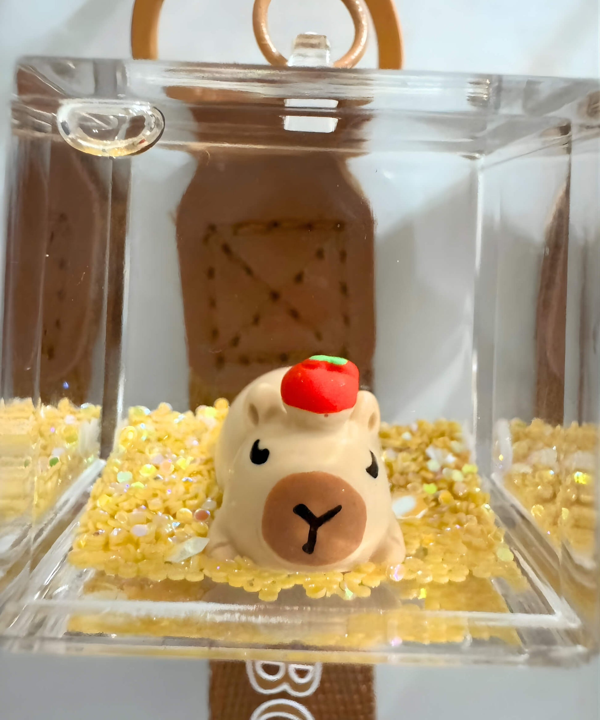 Close up of capybara liquid keychain with acrylic cube and glitter movement